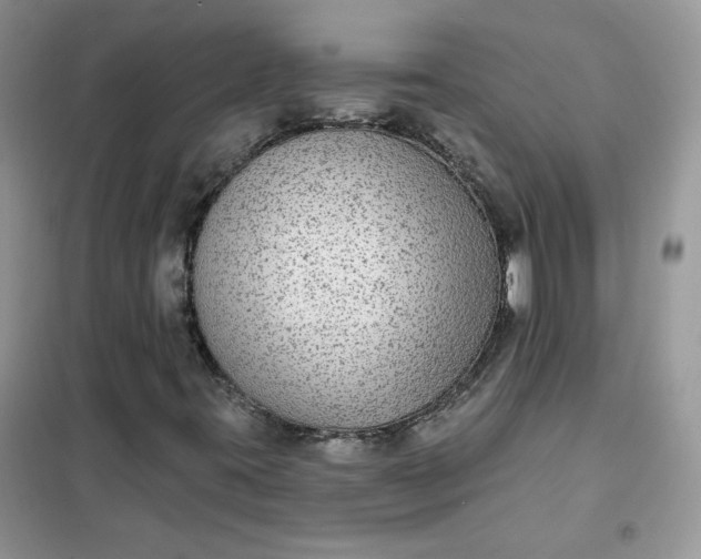 X0000102041395200808011459