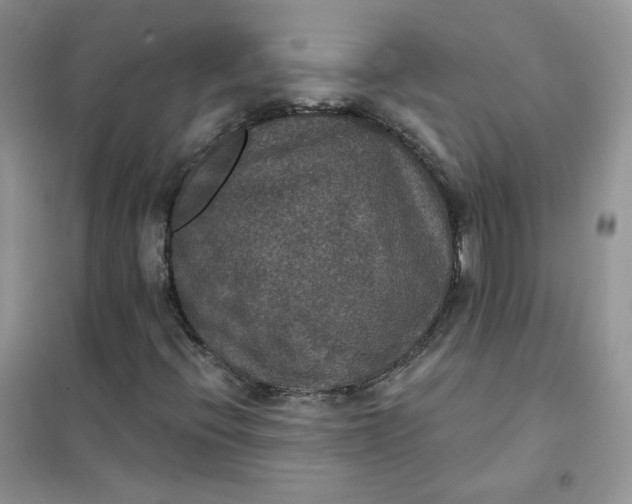 X0000102041396200808011459