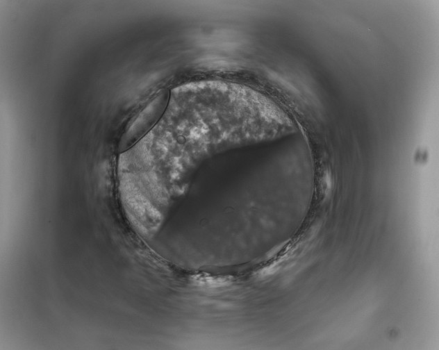 X0000102041397200808011459