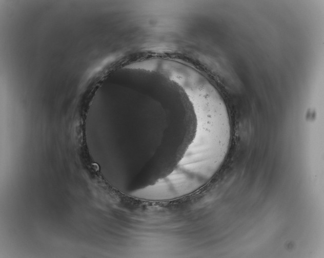 X0000102041398200808011459