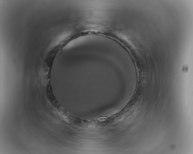 X0000102041399200808011500