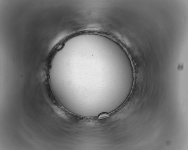 X0000102041400200808011500