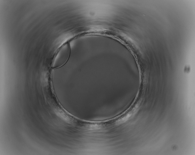 X0000102041401200808011500