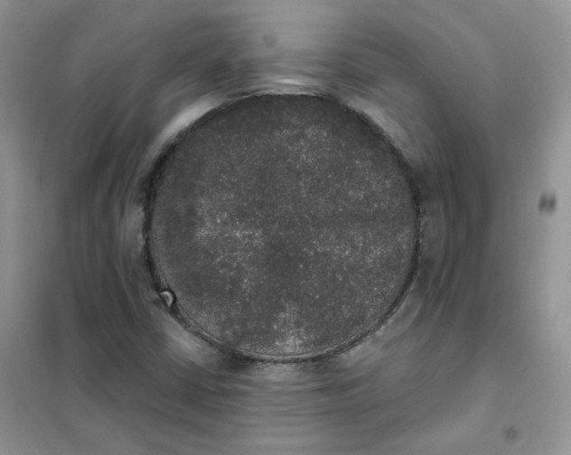 X0000102041402200808011500