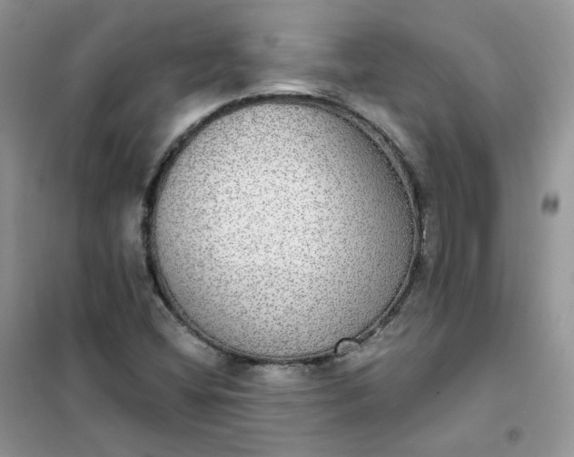 X0000102041404200808011500