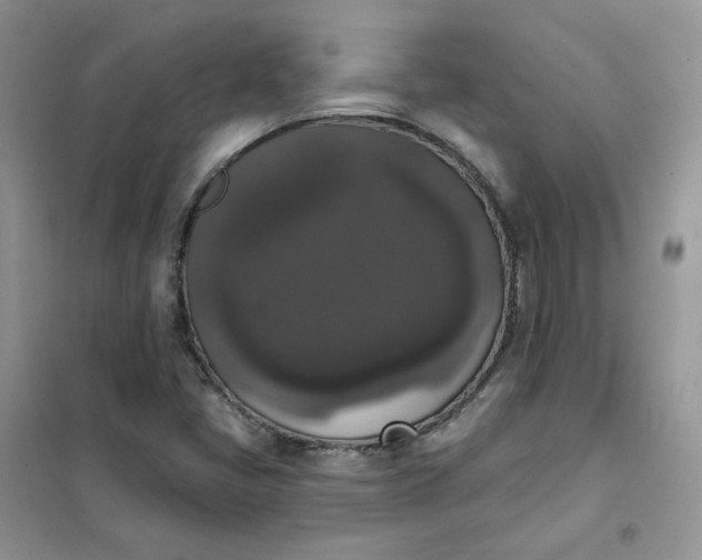 X0000102041405200808011500