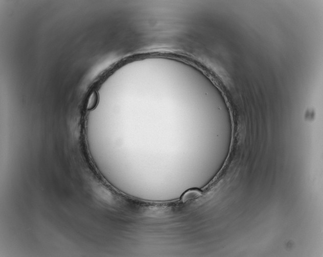 X0000102041406200808011500