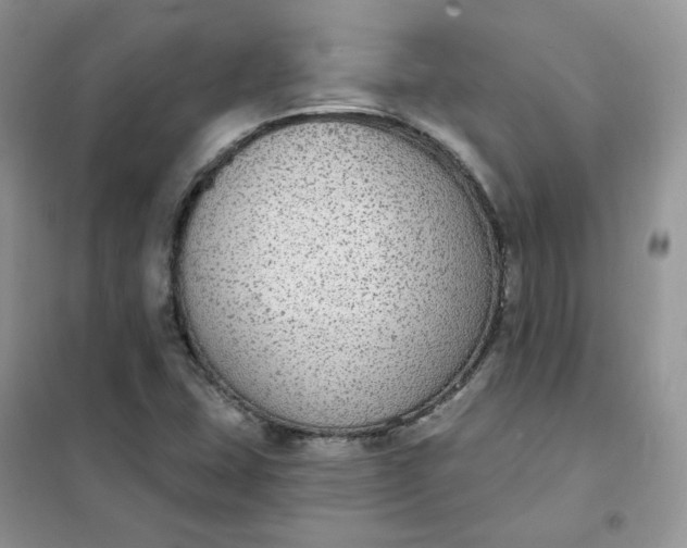 X0000102041407200808011500