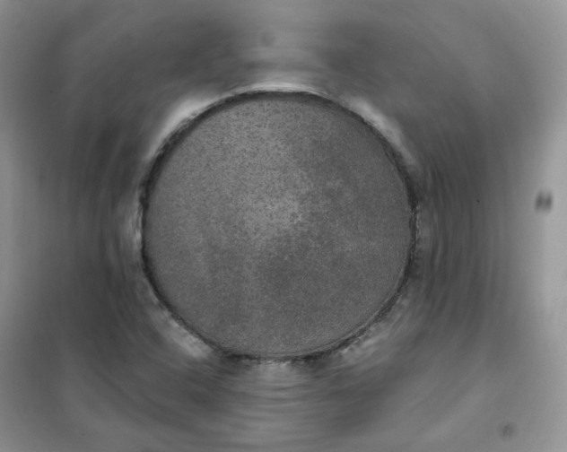 X0000102041408200808011500