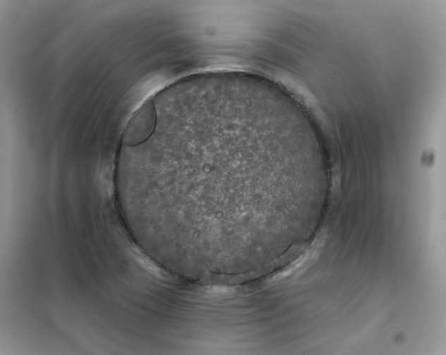 X0000102041409200808011500