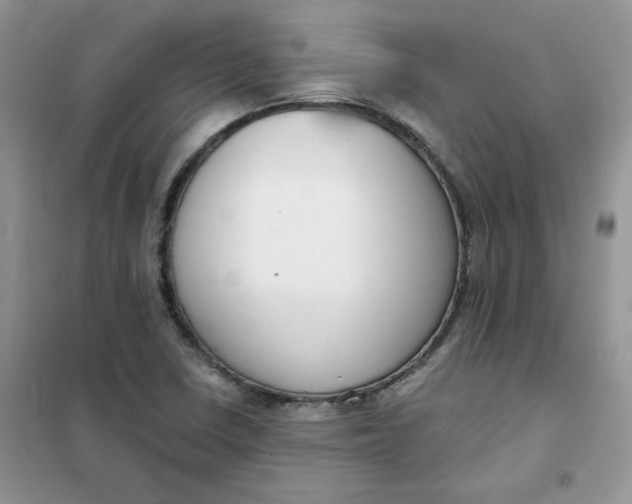 X0000102041410200808011500