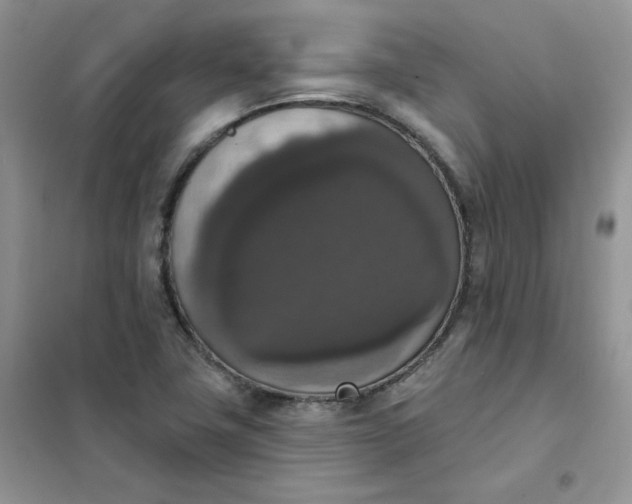 X0000102041411200808011500