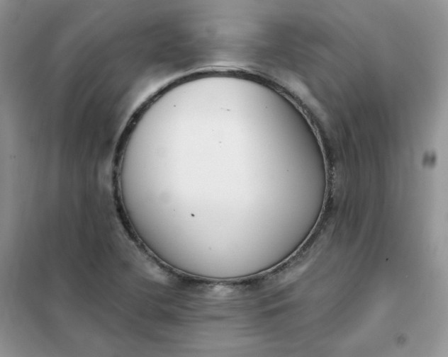 X0000102041412200808011500