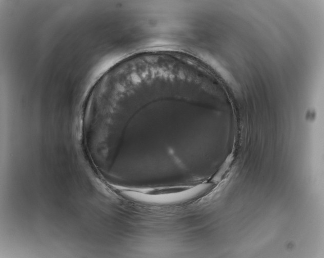 X0000102041413200808011500