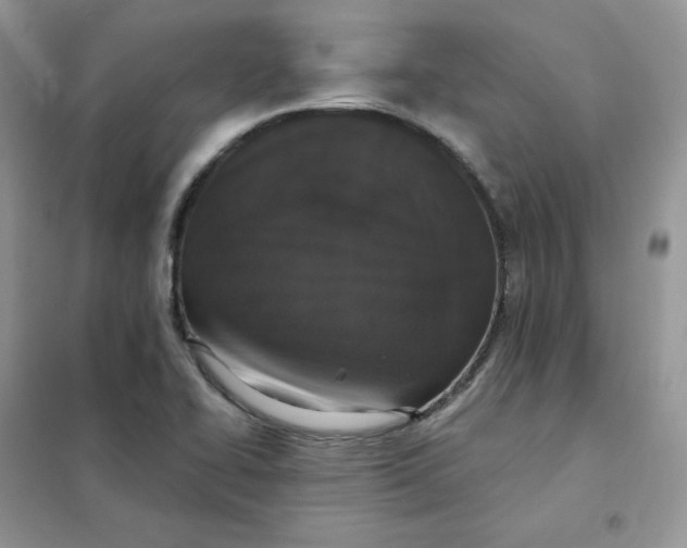 X0000102041414200808011500