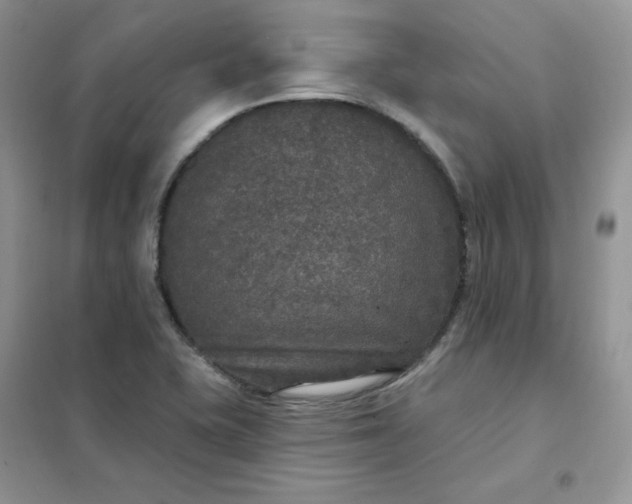 X0000102041415200808011500