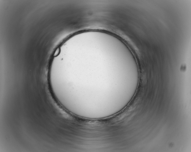 X0000102041416200808011500