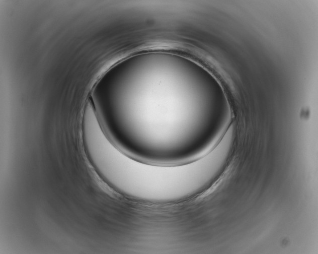 X0000102041417200808011500