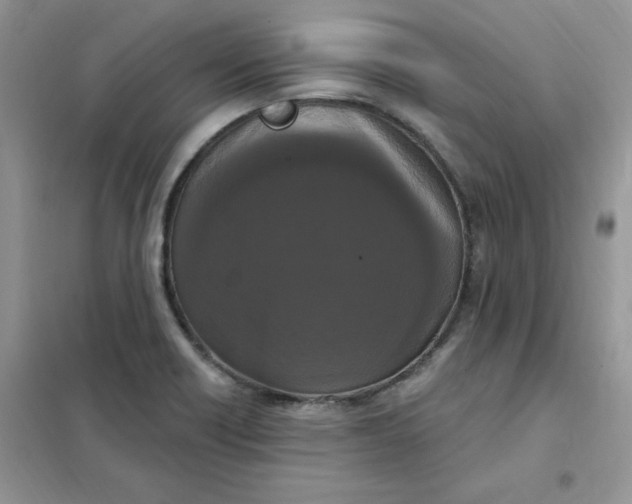 X0000102041418200808011500