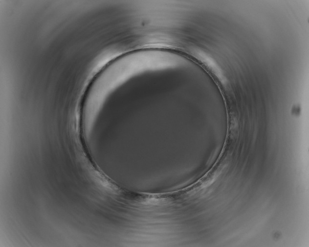 X0000102041419200808011500