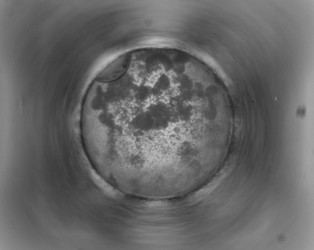 X0000102041421200808011500