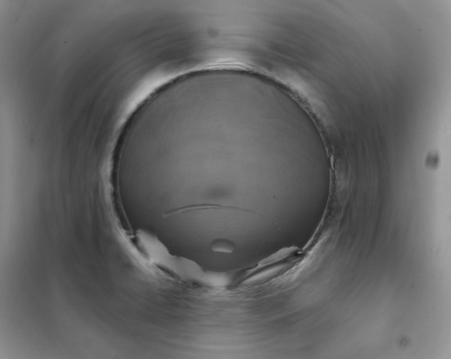 X0000102041422200808011500