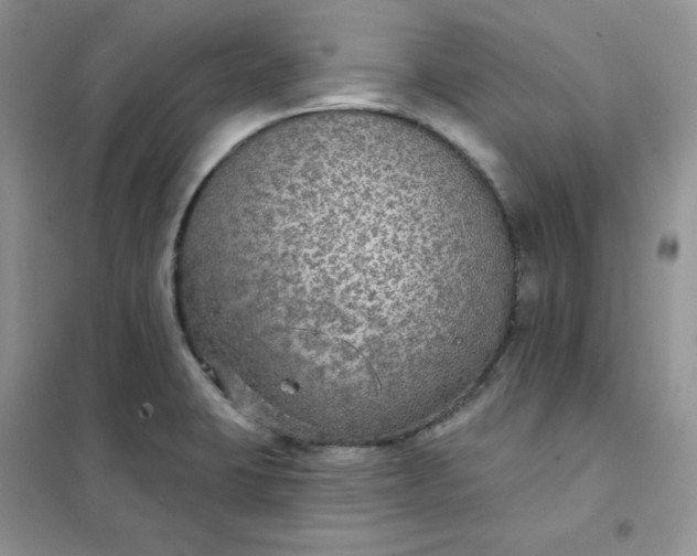 X0000102041423200808011500