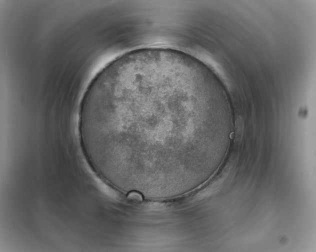 X0000102041424200808011500