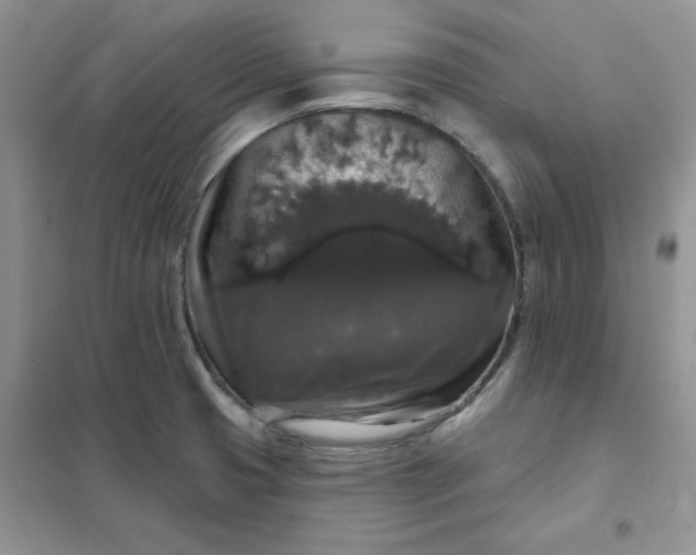 X0000102041425200808011500