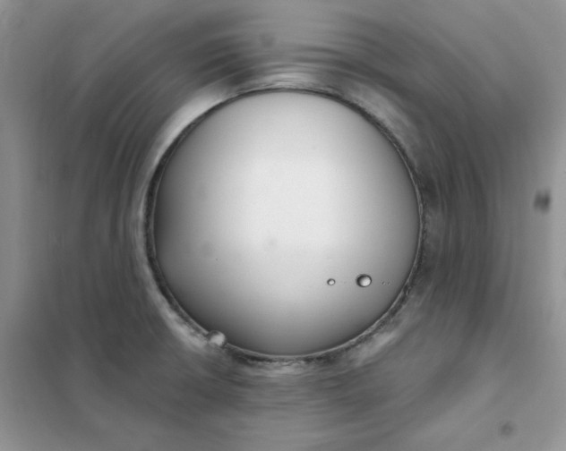 X0000102041426200808011500