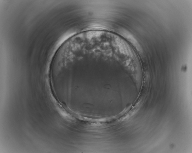 X0000102041427200808011500