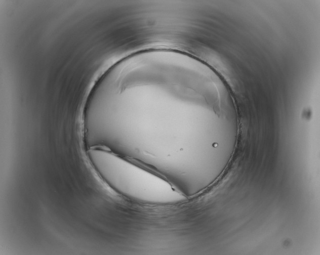 X0000102041428200808011500