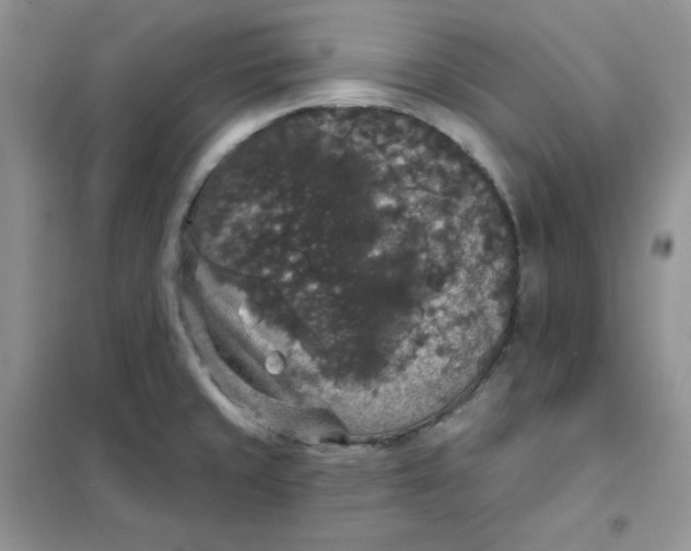 X0000102041429200808011500