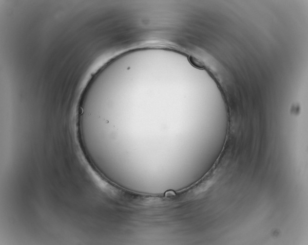 X0000102041430200808011500