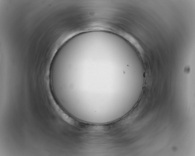 X0000102041431200808011500