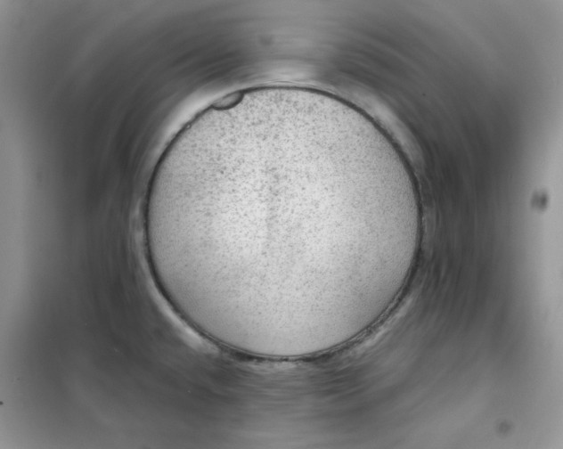 X0000102041432200808011500