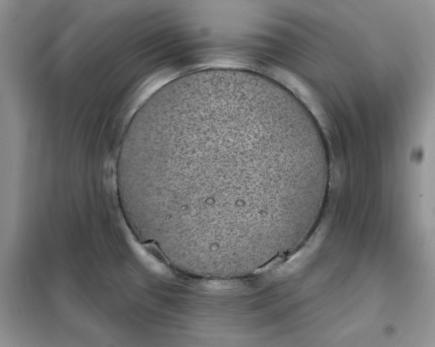 X0000102041433200808011500