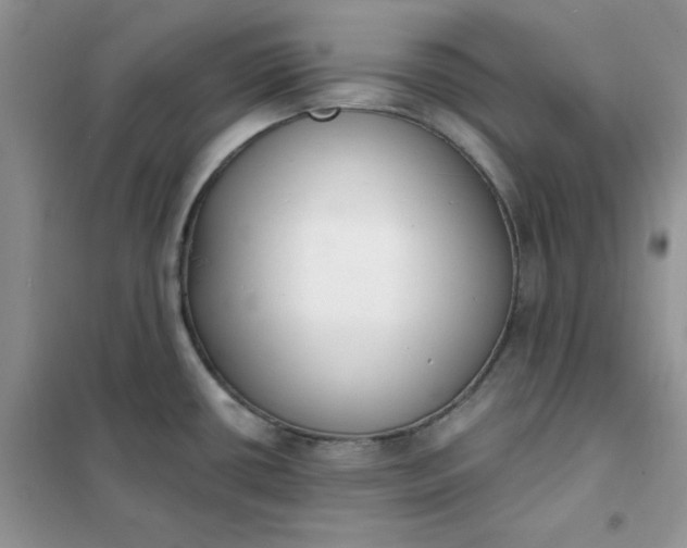 X0000102041434200808011500