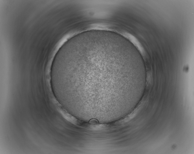 X0000102041435200808011500