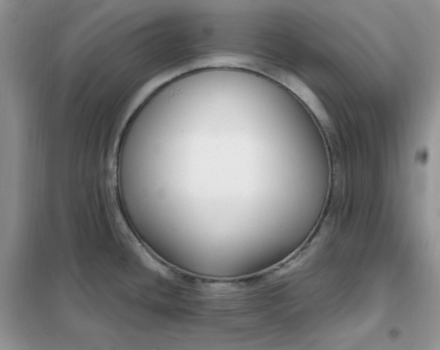 X0000102041436200808011500