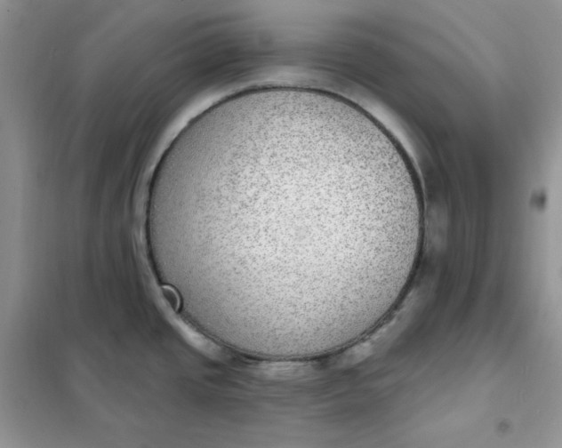 X0000102041437200808011500