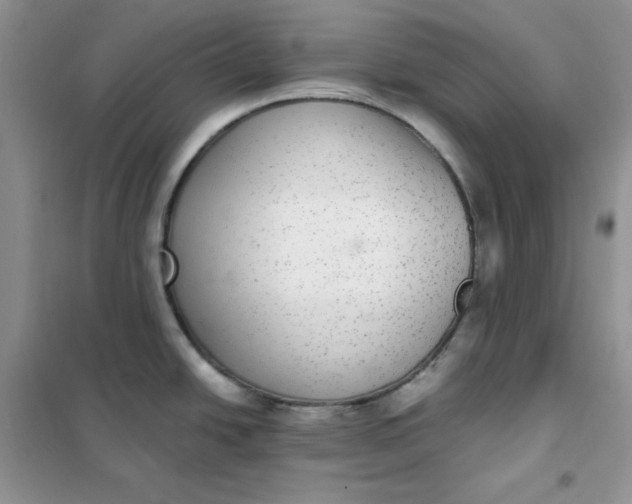 X0000102041438200808011500