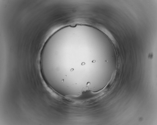 X0000102041439200808011500