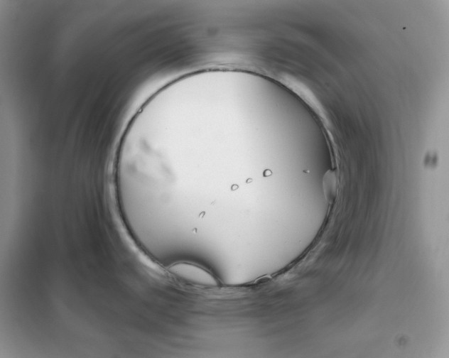 X0000102041440200808011500