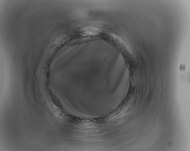 X0000102041441200808011459