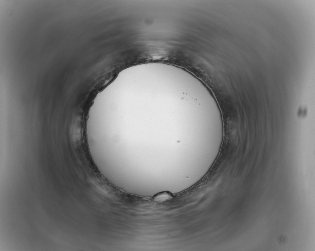 X0000102041442200808011459