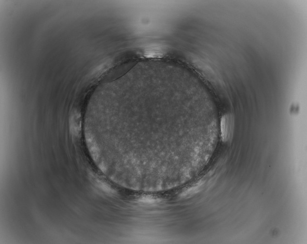 X0000102041443200808011459