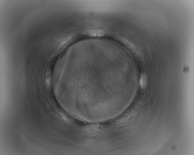 X0000102041444200808011459