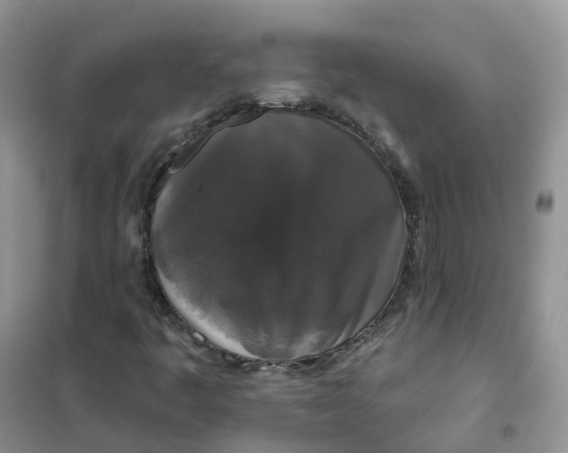 X0000102041445200808011459