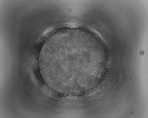 X0000102041446200808011459